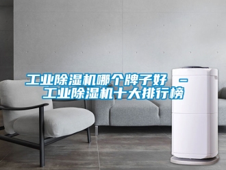 常見(jiàn)問(wèn)題工業(yè)除濕機(jī)哪個(gè)牌子好 – 工業(yè)除濕機(jī)十大排行榜