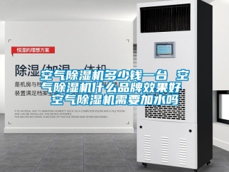 企業新聞空氣除濕機多少錢一臺 空氣除濕機什么品牌效果好 空氣除濕機需要加水嗎