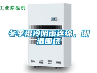 企業(yè)新聞冬季濕冷陰雨連綿，潮濕圍繞