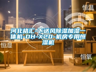 知識百科河北格匯-下送風除濕加濕一體機-DH-X20-機房專用恒濕機