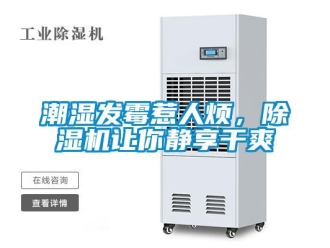 企業新聞潮濕發霉惹人煩，除濕機讓你靜享干爽