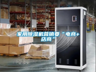 行業新聞家用除濕機營銷要“電商+店商”