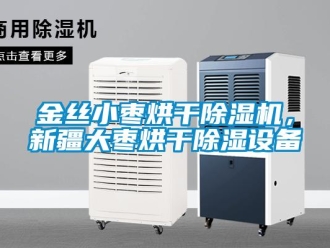 行業(yè)新聞金絲小棗烘干除濕機，新疆大棗烘干除濕設備