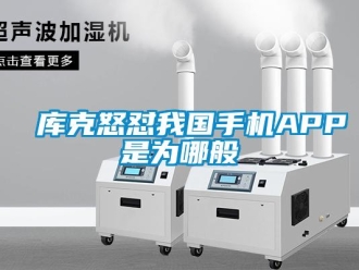 行業新聞庫克怒懟我國手機APP是為哪般