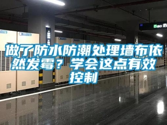 常見問題做了防水防潮處理墻布依然發霉？學會這點有效控制