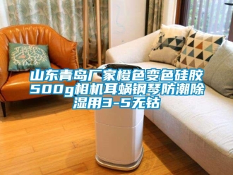 常見問題山東青島廠家橙色變色硅膠500g相機耳蝸鋼琴防潮除濕用3-5無鈷
