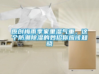 常見問題原創梅雨季家里濕氣重，這個防潮除濕的妙招你應該知曉
