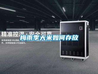 常見問題梅雨季大米如何存放