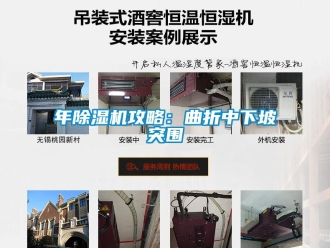 行業新聞年除濕機攻略：曲折中下坡突圍