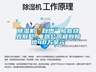 企業新聞除濕機“自燃”險些燒毀別墅 電器公司被判賠償48萬余元