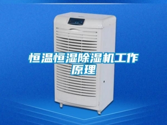 知識百科恒溫恒濕除濕機工作原理