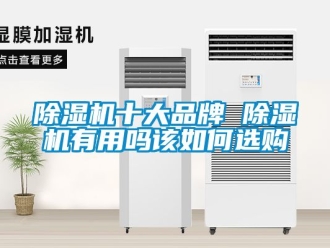企業新聞除濕機十大品牌 除濕機有用嗎該如何選購