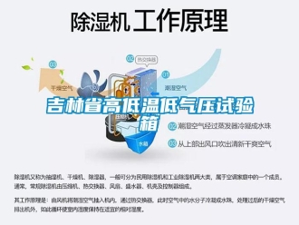 常見問題吉林省高低溫低氣壓試驗箱
