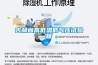 吉林省高低溫低氣壓試驗箱