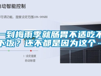 知識百科一到梅雨季就腸胃不適吃不下飯？還不都是因為這個…