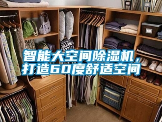 知識百科智能大空間除濕機(jī)，打造60度舒適空間