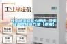 臥室除濕器怎么挑選 臥室除濕器挑選方法【詳解】