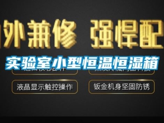 知識百科實驗室小型恒溫恒濕箱