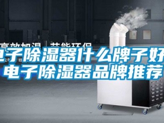 行業新聞電子除濕器什么牌子好 電子除濕器品牌推薦