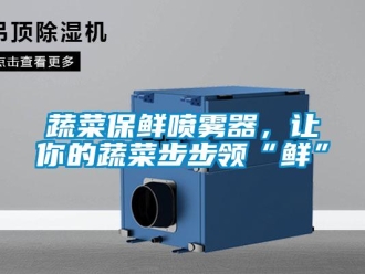 知識百科蔬菜保鮮噴霧器，讓你的蔬菜步步領“鮮”