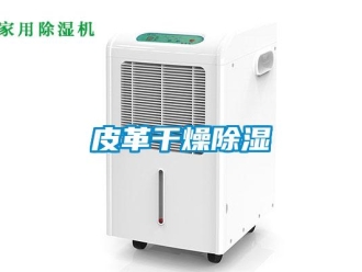 行業新聞皮革干燥除濕