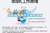 淺析新風系統(tǒng)行業(yè)市場前景