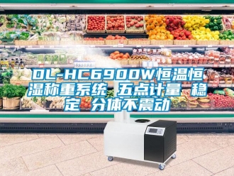 常見問題DL-HC6900W恒溫恒濕稱重系統 五點計量 穩定 分體不震動