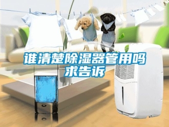 行業新聞誰清楚除濕器管用嗎求告訴