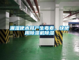 企業新聞潮濕使木耳產生毒素，快使用除濕機除濕