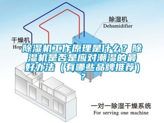 企業新聞除濕機工作原理是什么？除濕機是否是應對潮濕的最好辦法（有哪些品牌推薦）？