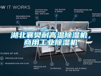常見問題湖北襄樊耐高溫除濕機，商用工業(yè)除濕機