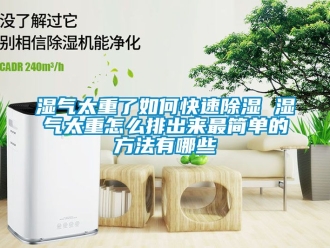 企業新聞濕氣太重了如何快速除濕 濕氣太重怎么排出來最簡單的方法有哪些