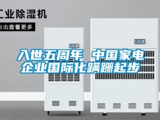 行業(yè)新聞入世五周年 中國家電企業(yè)國際化蹣跚起步