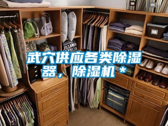行業新聞武穴供應各類除濕器，除濕機＊