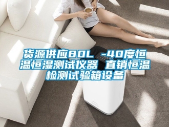 知識百科貨源供應80L -40度恒溫恒濕測試儀器 直銷恒溫檢測試驗箱設備
