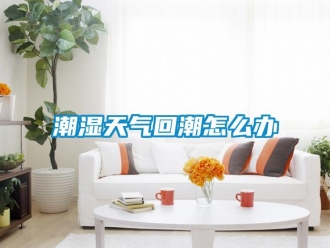 常見問題潮濕天氣回潮怎么辦