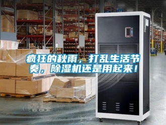企業新聞瘋狂的秋雨，打亂生活節奏，除濕機還是用起來！