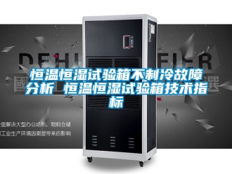 知識百科恒溫恒濕試驗箱不制冷故障分析 恒溫恒濕試驗箱技術指標