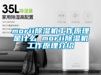 企業(yè)新聞morii除濕機工作原理是什么 morii除濕機工作原理介紹