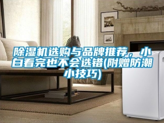 企業新聞除濕機選購與品牌推薦，小白看完也不會選錯(附贈防潮小技巧)