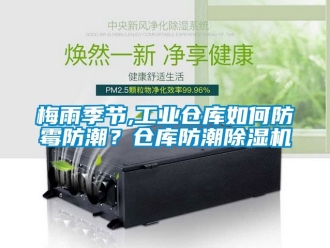 常見(jiàn)問(wèn)題梅雨季節(jié),工業(yè)倉(cāng)庫(kù)如何防霉防潮？倉(cāng)庫(kù)防潮除濕機(jī)