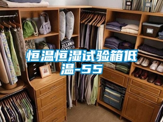知識百科恒溫恒濕試驗箱低溫-55℃
