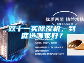 知識百科雙十一買除濕機，到底選哪家好？