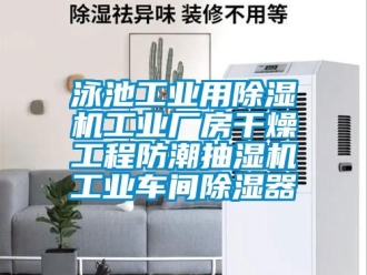 常見問題泳池工業用除濕機工業廠房干燥工程防潮抽濕機工業車間除濕器