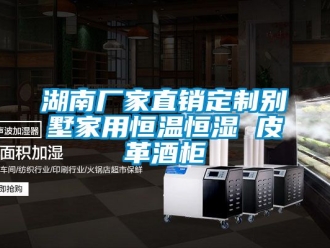 知識(shí)百科湖南廠家直銷定制別墅家用恒溫恒濕 皮革酒柜