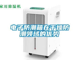常見問題電子防潮箱在干燥防潮領域的優勢