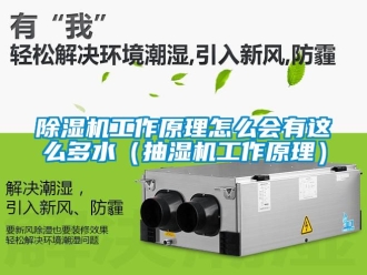 行業新聞除濕機工作原理怎么會有這么多水（抽濕機工作原理）