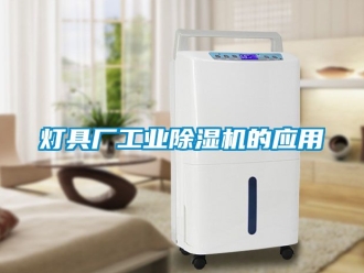 常見問題燈具廠工業(yè)除濕機的應用