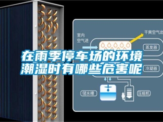 知識百科在雨季停車場的環境潮濕時有哪些危害呢