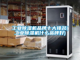 常見(jiàn)問(wèn)題工業(yè)除濕機(jī)品牌十大排名(工業(yè)除濕機(jī)什么品牌好)